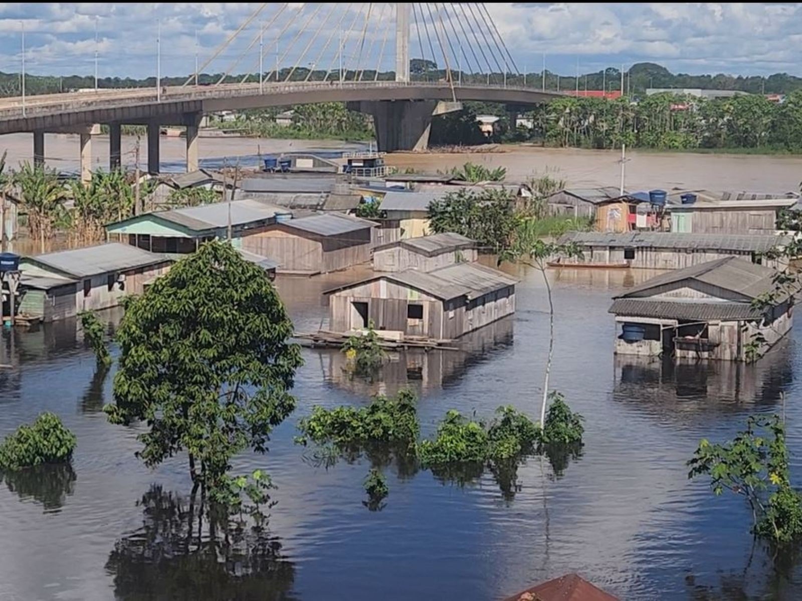 A Escalada Recorrente do Rio Juruá: Desvendando o Ciclo de Vulnerabilidade em Cruzeiro do Sul