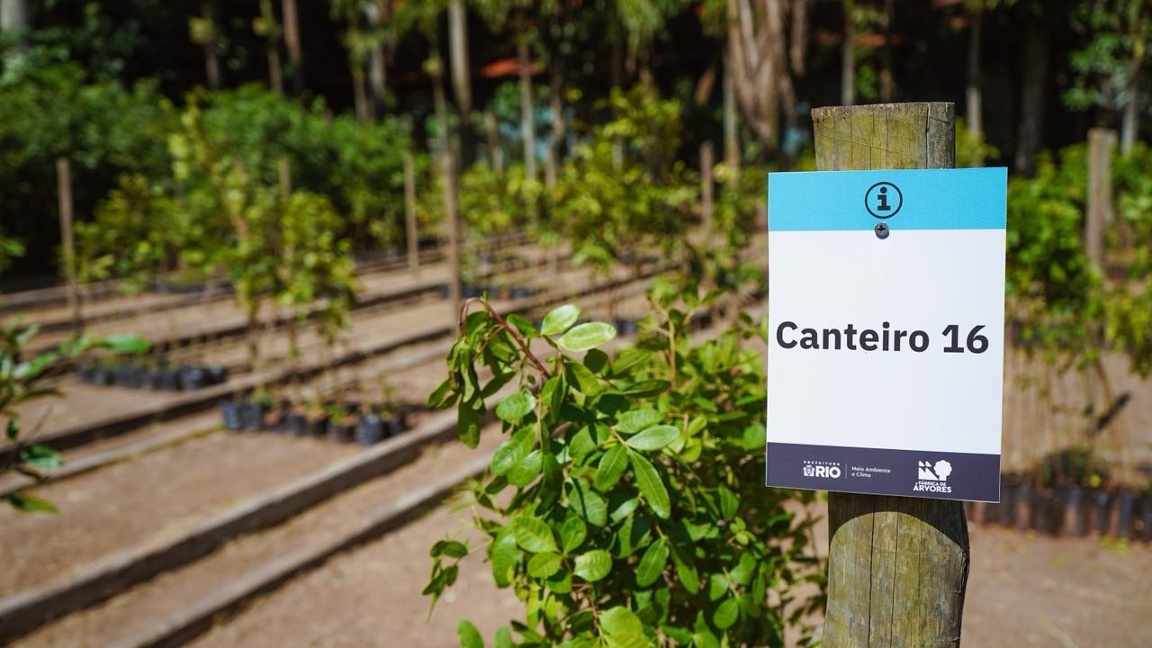 Ampliação da Fábrica de Árvores do Rio: Um Pilar Estratégico na Resiliência Climática e Urbana