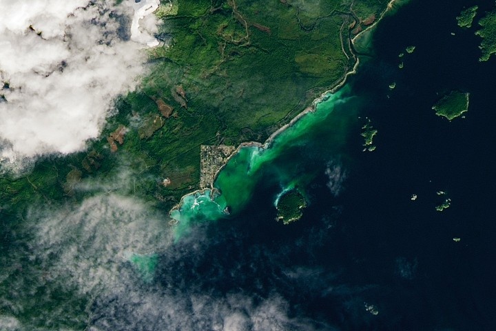 Satélites da NASA Revelam Dinâmicas Ocultas da Vida Marinha: O Caso do Arenque do Pacífico