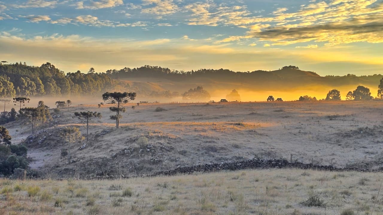 Geada Intensa na Serra Catarinense: Entenda o Impacto Estratégico para a Agricultura e o Turismo Regional