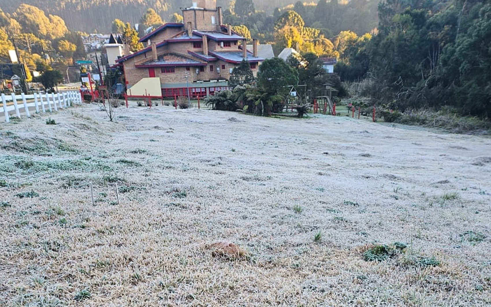 Frio Intenso em Santa Catarina: Para Além da Geada, o Impacto Silencioso na Economia e na Vida Regional