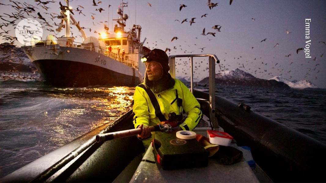 A Imagem da Ciência: Como a Fotografia Reforça a Conexão Pública com a Pesquisa