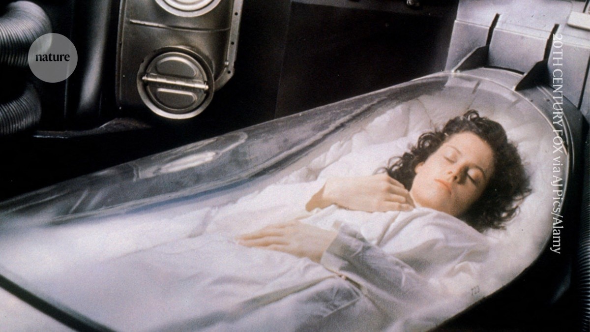 Atividade Neural Retomada em Cérebros Congelados: Um Marco na Criopreservação e suas Implicações Futuras