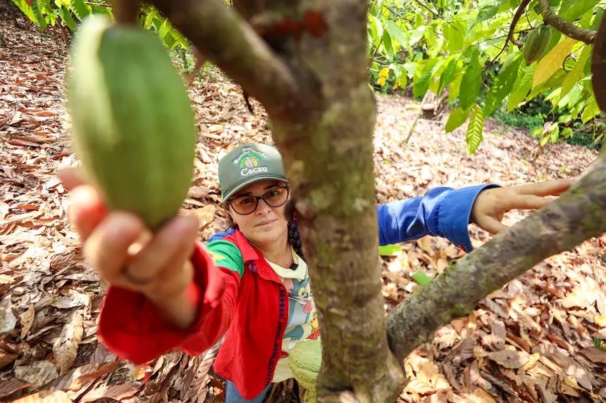 SICAR+: A Revolução Digital que Desburocratiza e Valoriza o Campo Paraense