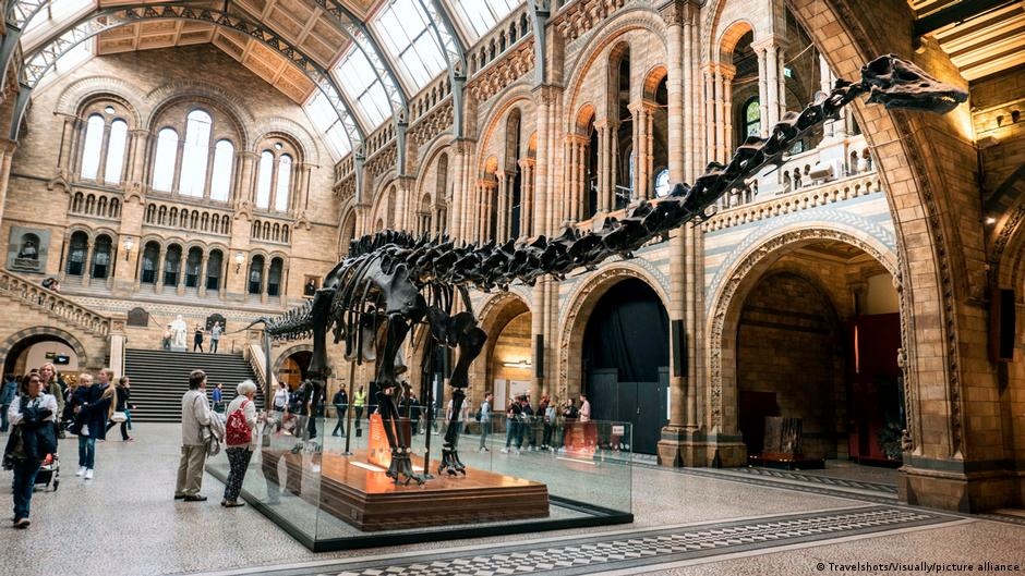 Evidência de Diplodocus na Europa Desvenda Conexões Continentais Antigas