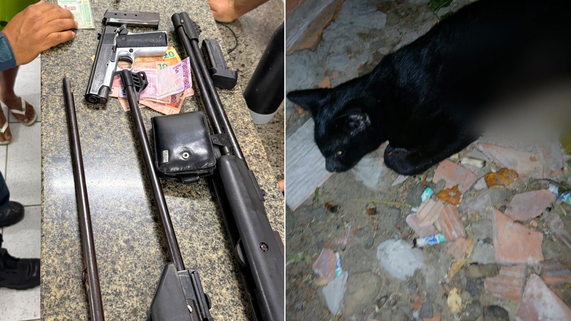 Suspeito de matar gato com armas e munições é preso em Parnaíba