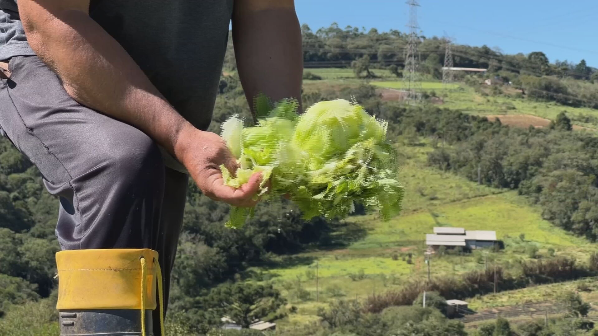 Granizo em Piedade: Um Alerta Econômico Silencioso que ecoa na sua Mesa