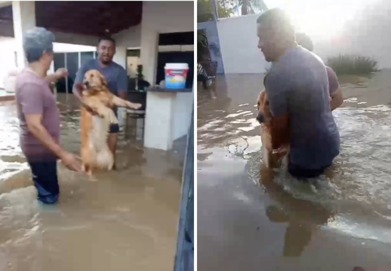 Gurupi Submersa: Além da Chuva, Uma Análise da Vulnerabilidade Urbana e a Questão dos Barramentos