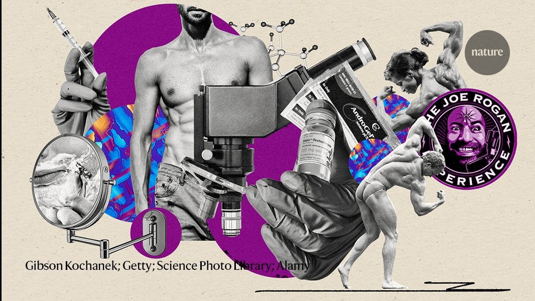 Terapia de Testosterona: Desvendando a Ciência Por Trás da Nova Onda de Tratamentos Hormonais