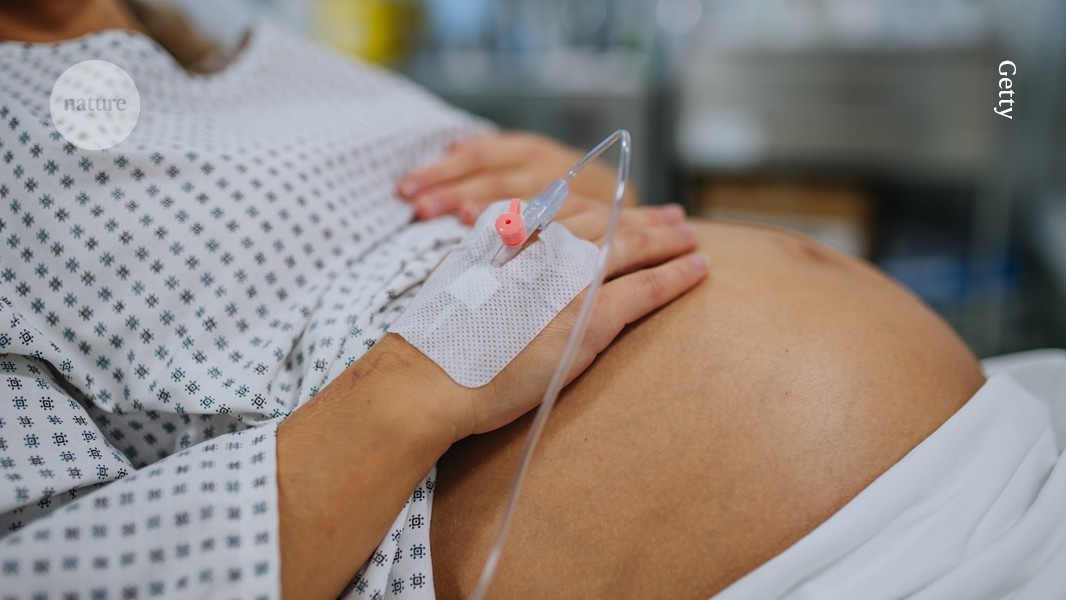 Nova Estratégia Proteica Potencializa Segurança Fetal em Terapias Biológicas
