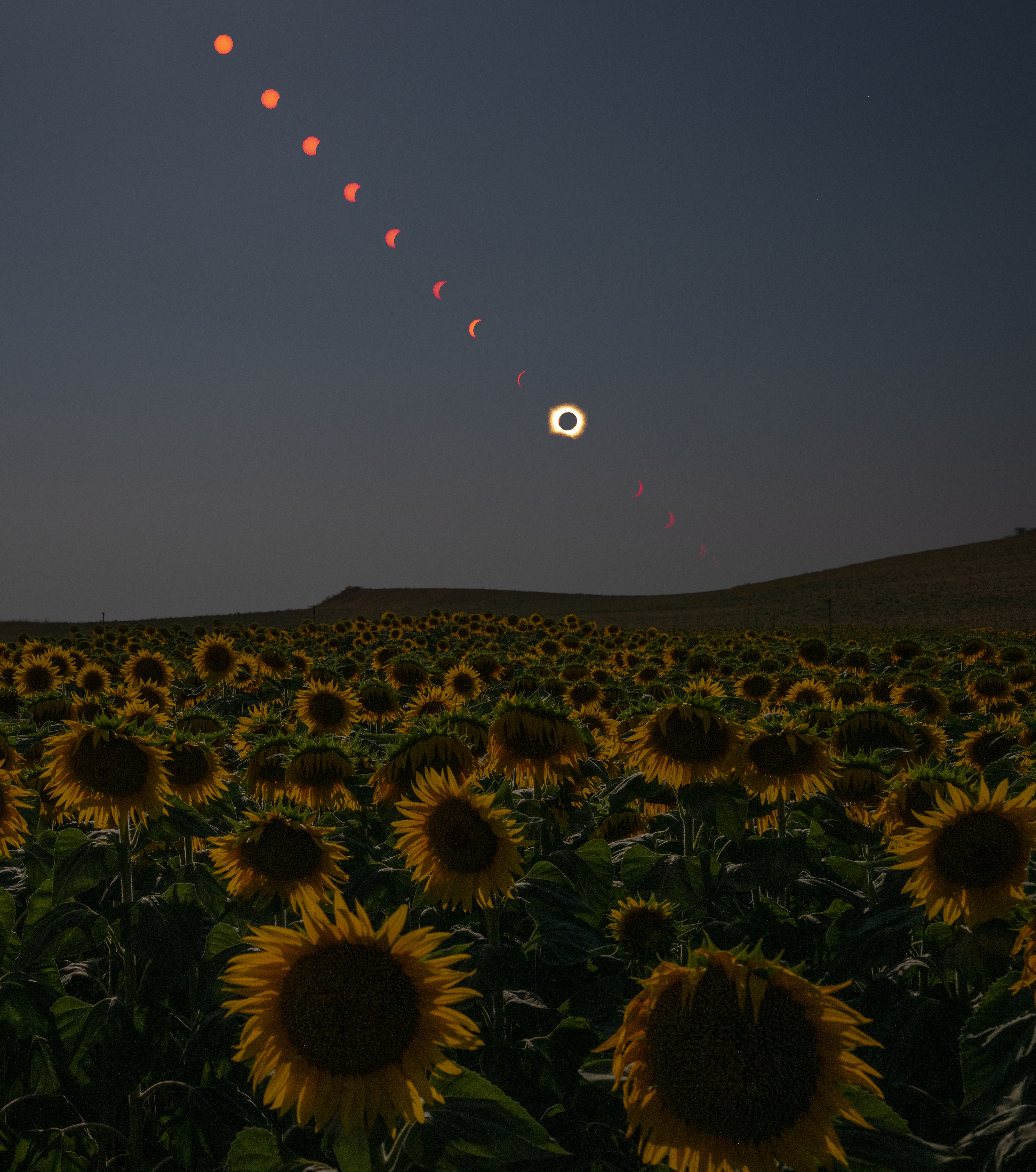 Eclipse Solar Total de 2026: Uma Janela Rara para a Ciência e a Experiência Humana