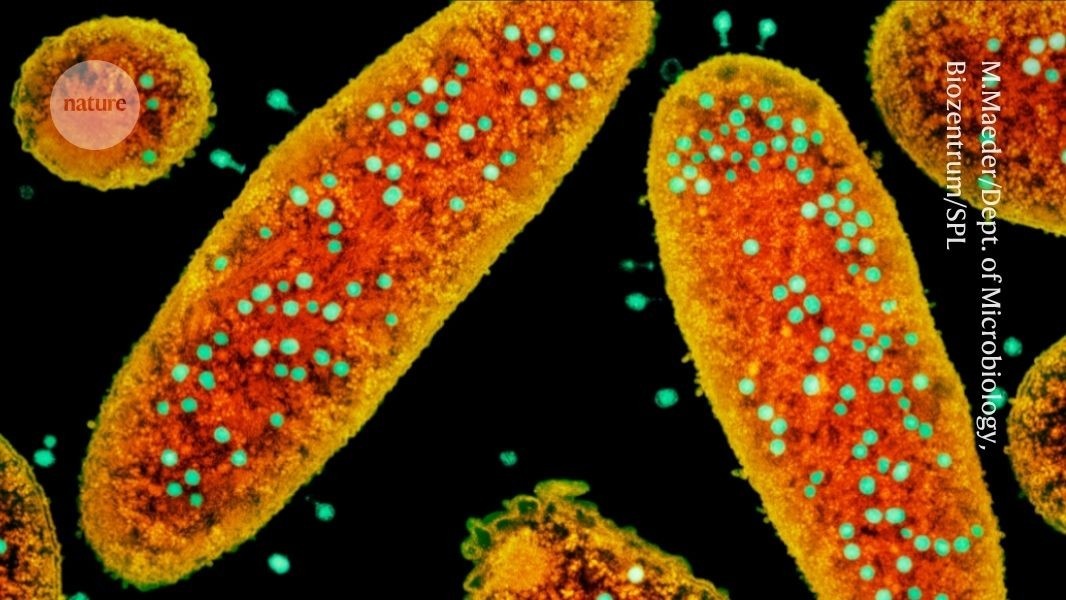 Desvendado Vasto Arsenal Antiviral Bacteriano: Implicações para a Biotecnologia e Saúde Humana