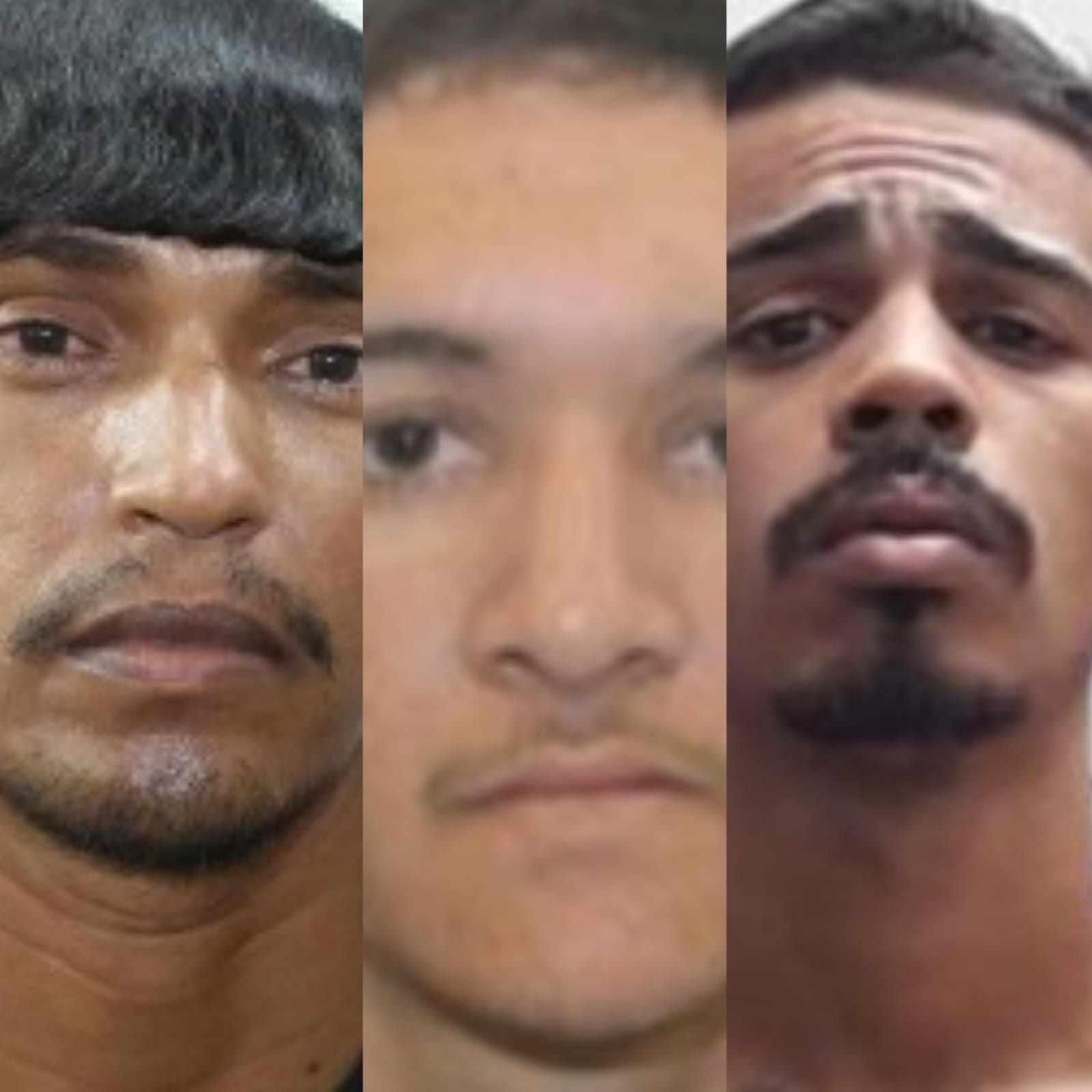 Alerta em Alagoas: Inclusão de Suspeitos de Feminicídio na Lista de Mais Procurados Expõe Desafios Regionais Urgentes