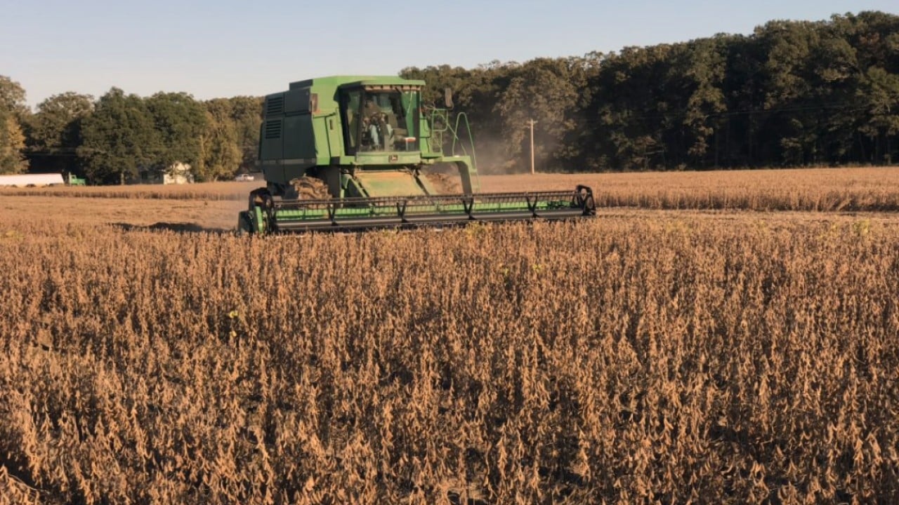 Relações Sino-Americanas: Progresso Agrícola Aponta para Distensão Comercial