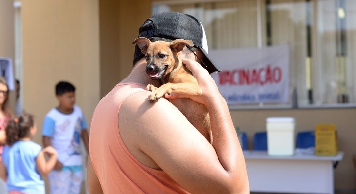 Teresina em Ação: A Estratégia de Vacinação Antirrábica nas Zonas Rurais como Pilar da Saúde Pública Regional