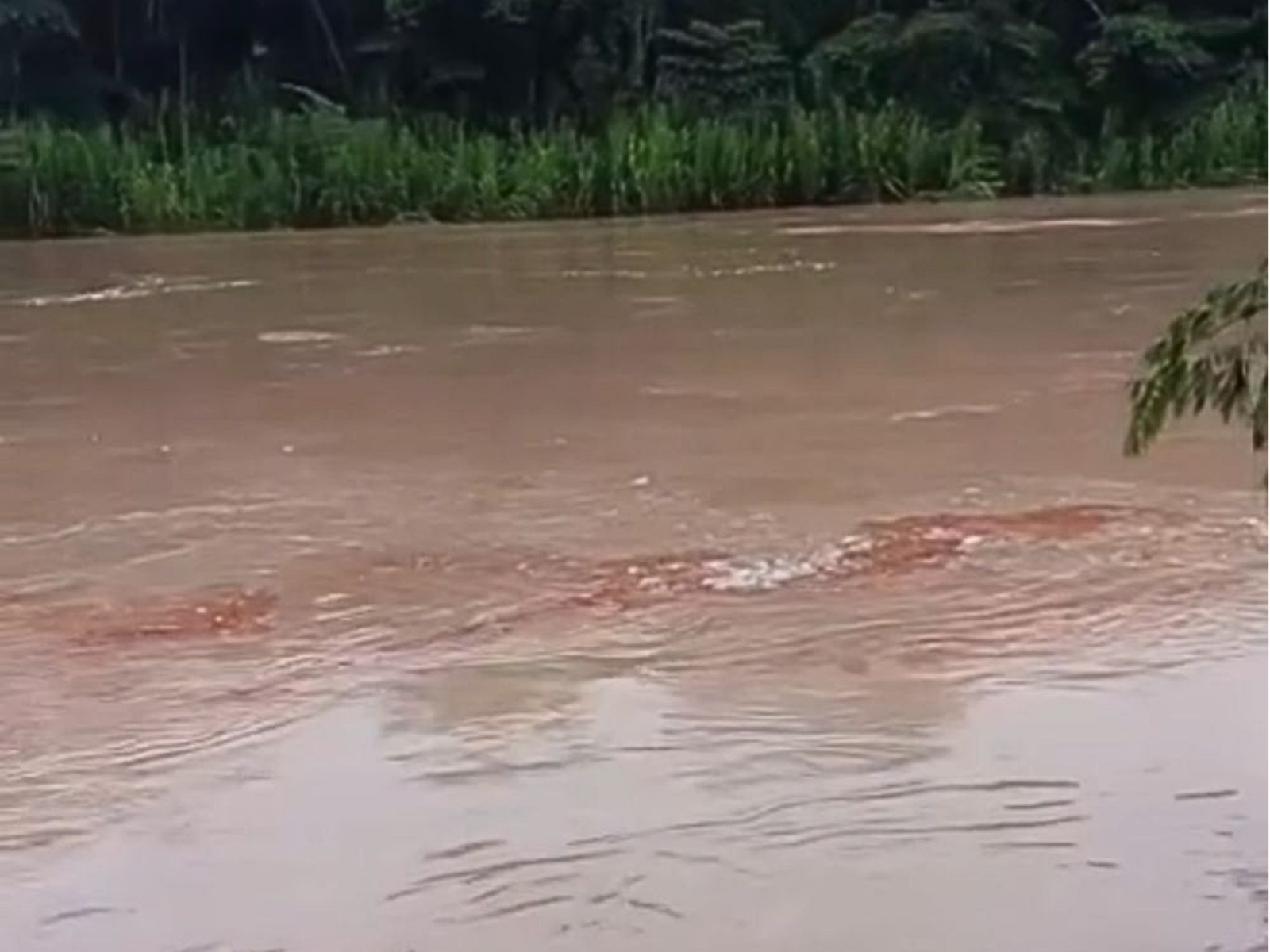 Crise Ambiental no Acre: Afundamento de Balsa e Derramamento de Diesel Ameaçam Rio Tarauacá e Comunidades