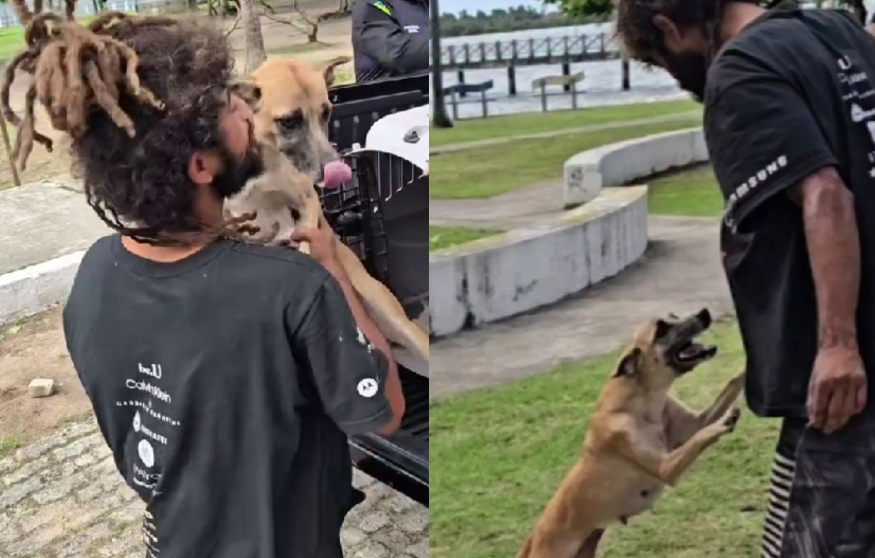 Reencontro Emocionante em Aracaju: Mais do que um Final Feliz, um Espelho Social