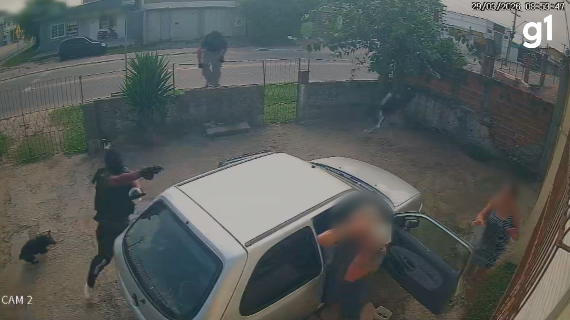 Violência Domiciliar no Sul: Além do Fato, a Radiografia de uma Crise Urbana