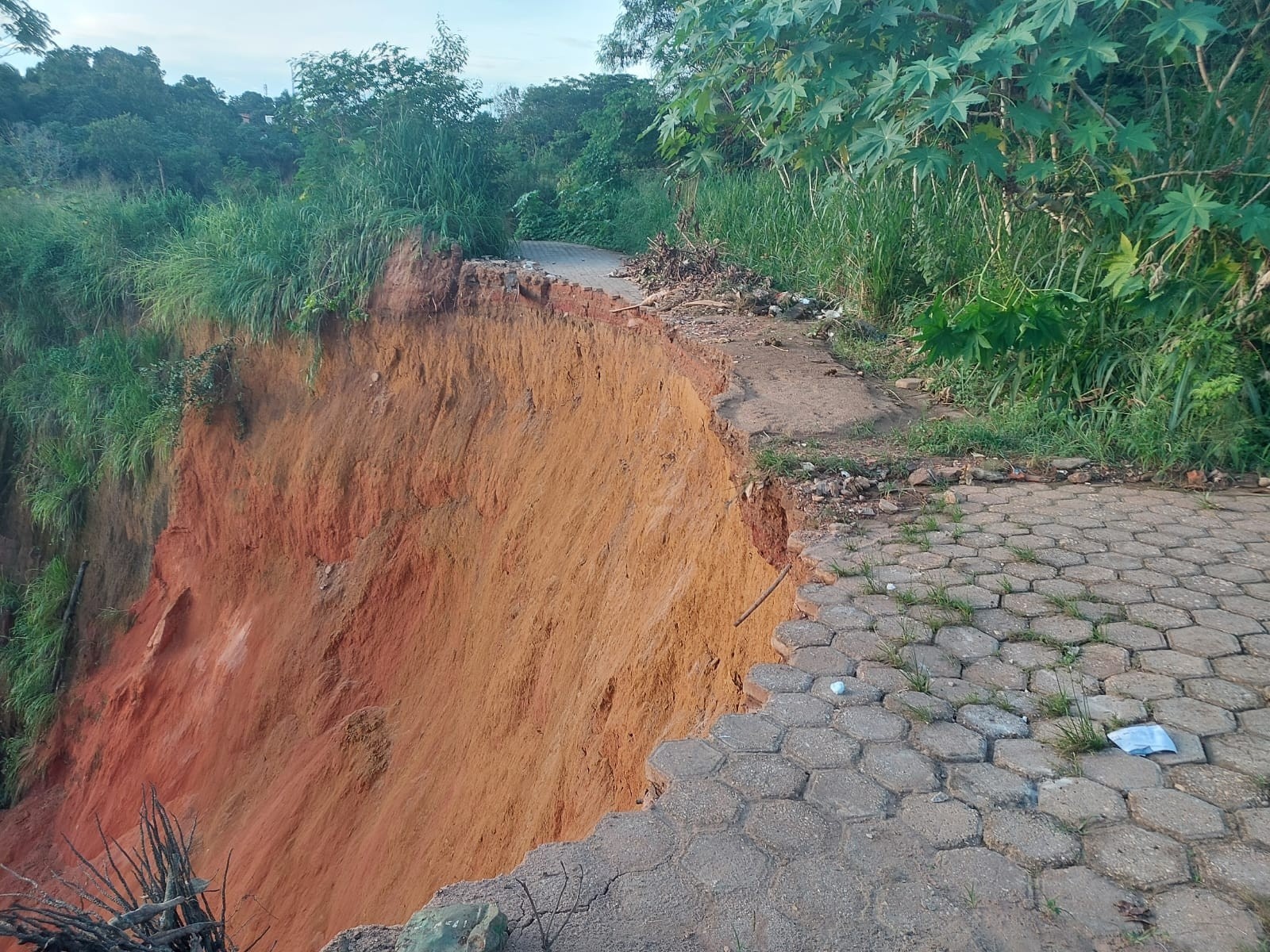 Colapso em Buriticupu: Voçoroca Devora Rua e Expõe Falhas Crônicas no Planejamento Urbano