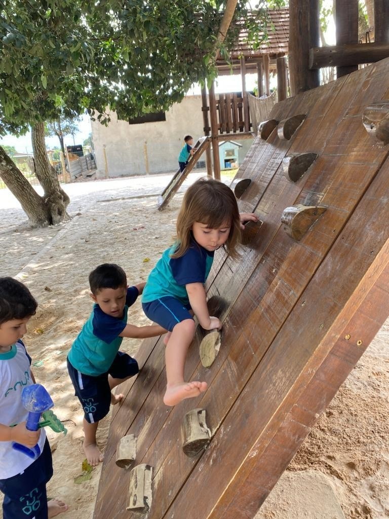 A Integração da Natureza no Currículo Escolar: Um Pilar para o Desenvolvimento Integral Infantil em Rondônia