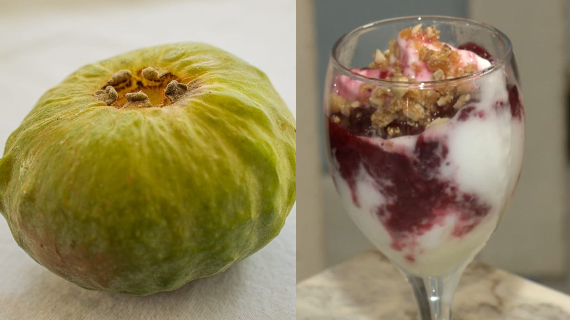 Gabiroba Gigante: Além do Sorvete Premiado, o Verdadeiro Valor da Biodiversidade Capixaba