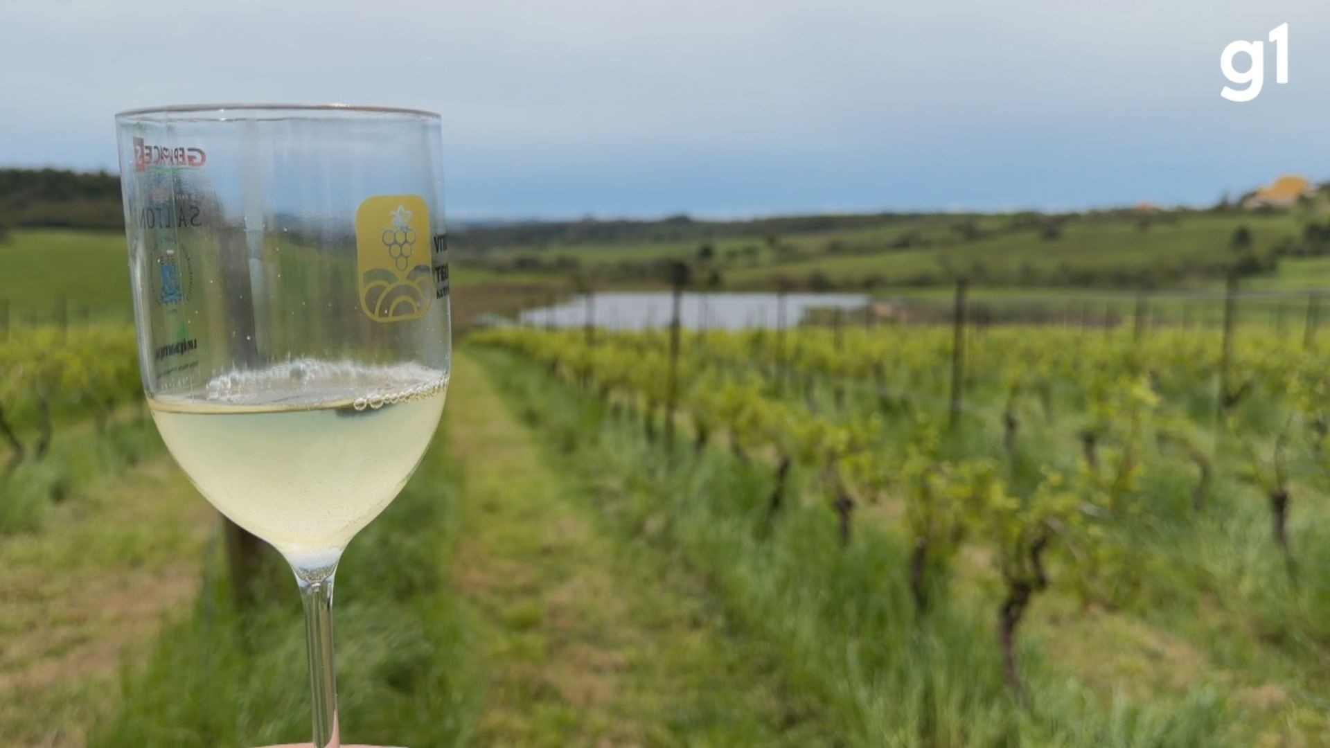Pesquisadores estudam impacto do solo na produção de vinho no RS