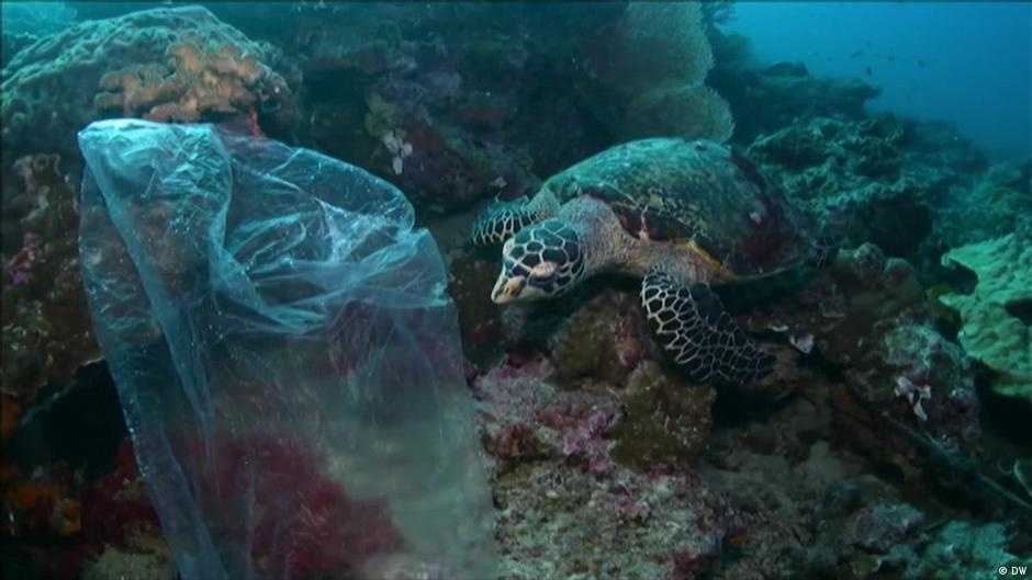 Governações Mundiais estão Desconectadas da Meta de Preservar 30% da Terra e Mar até 2030