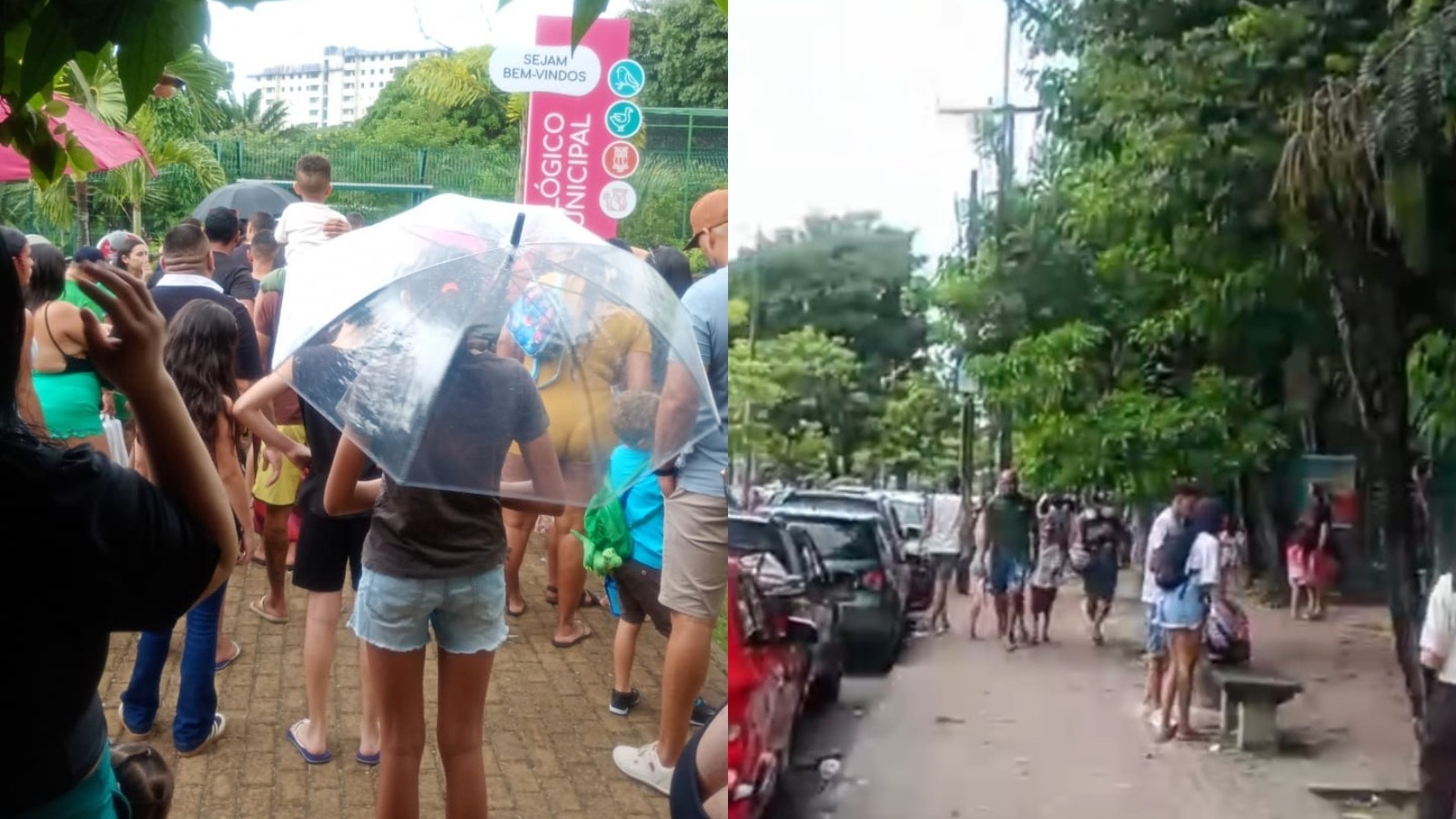 Fechamento Temporário do Zoológico de Fortaleza: Um Alerta sobre a Gestão de Espaços Públicos e Demanda Social